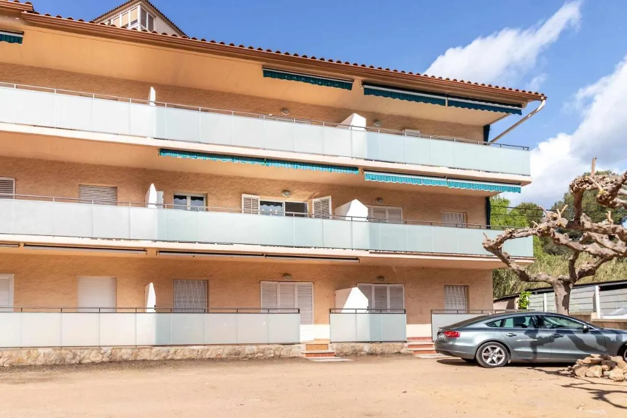Appartement Les Algues Encantador Apartamento En El Centro Gérone